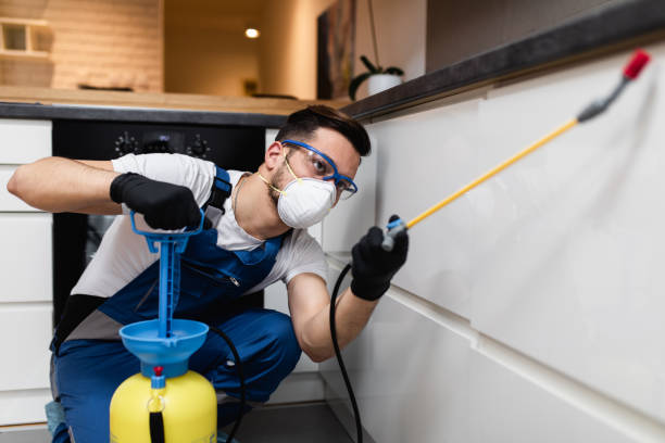 Best Pest Control Near Me  in Keystone, FL