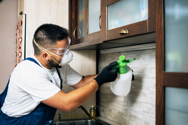 Best Pest Inspection Near Me  in Keystone, FL