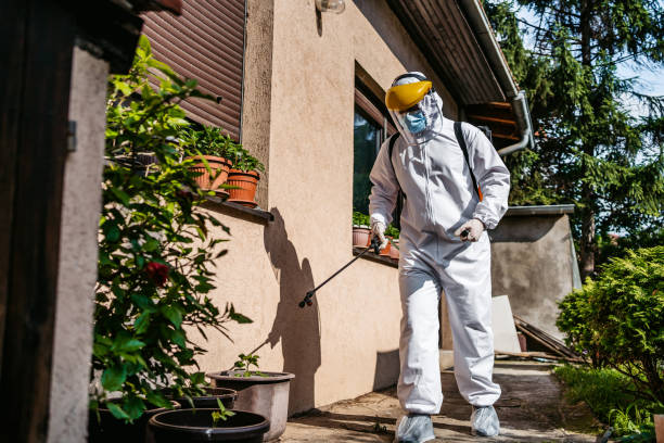 Best Emergency Pest Control  in Keystone, FL