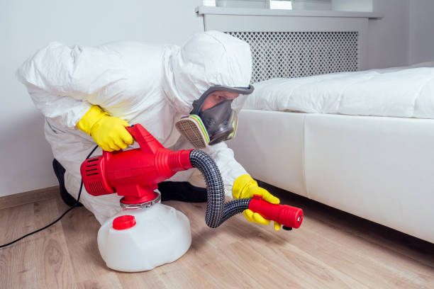 Best Pest Control for Homes  in Keystone, FL