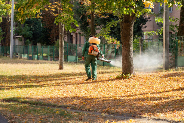 Best Pest Control for Restaurants  in Keystone, FL