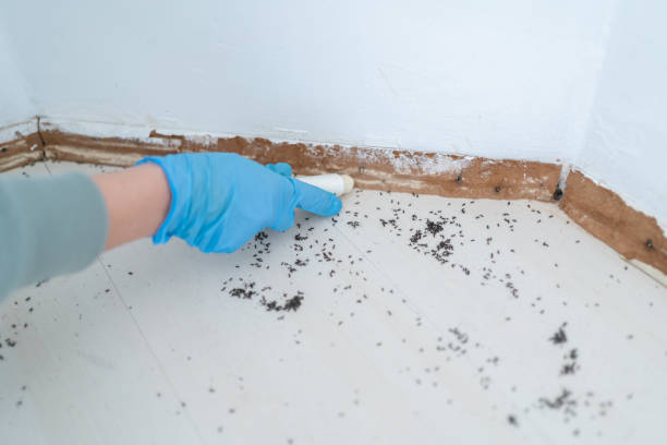 Pest Control for Restaurants in Keystone, FL